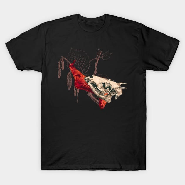 Enigmatic Escargots: Spooky Art Print Featuring Red Snail Donning Tufted Deer Skull Shell T-Shirt by venglehart